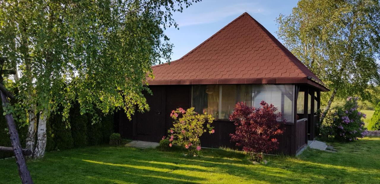 Villa Dom W Skowronkach à Sasino Extérieur photo