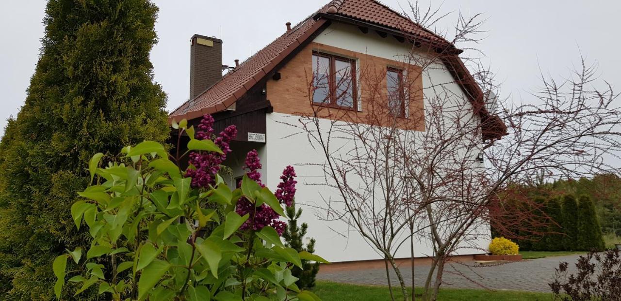 Villa Dom W Skowronkach à Sasino Extérieur photo